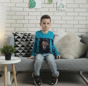 Реглан - Тигр