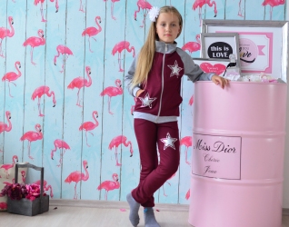 Спортивный костюм-Звезды бордовый