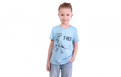 Футболка - T-REX голубая