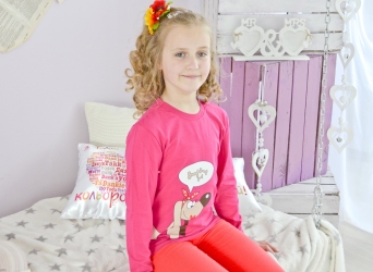 Реглан малиновий такса