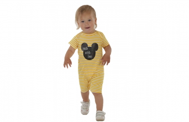 Песочник - Мышка желтая полоска